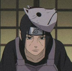 Meet your Posher, Ariel